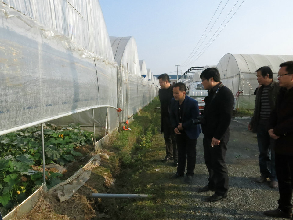实地调研瑞金市叶坪乡田坞村土地整合整治与农业现代化项目